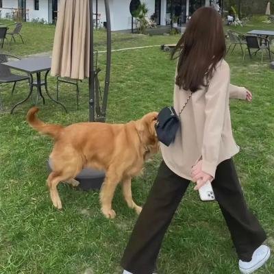 复仇行动